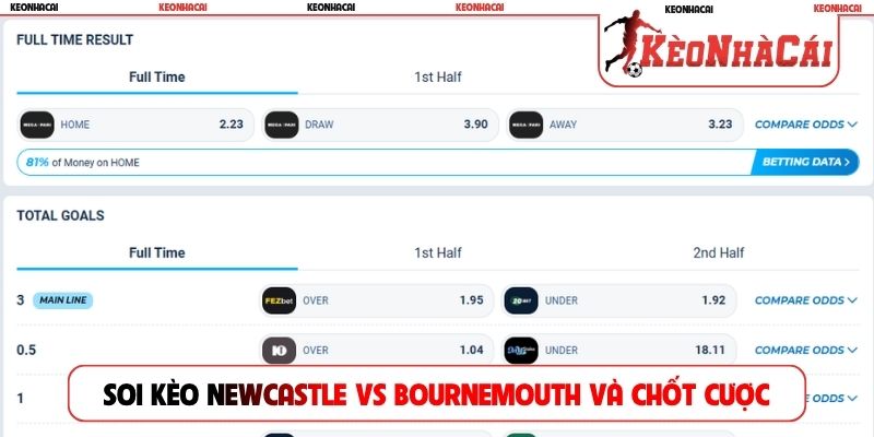 Soi kèo Newcastle vs Bournemouth và chốt cược