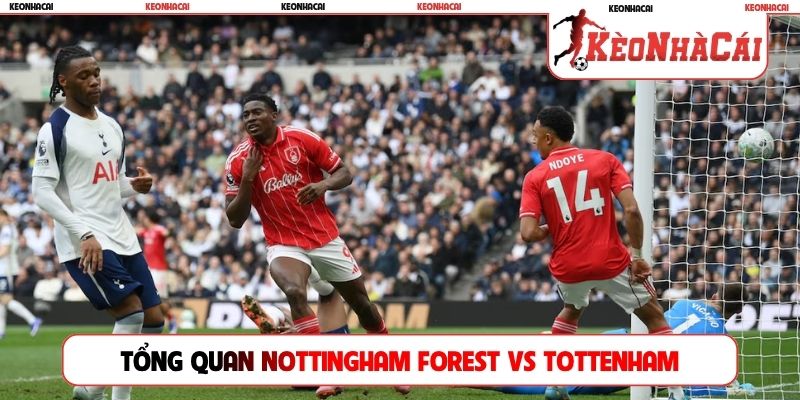 Phân tích tổng quan trận Nottingham Forest vs Tottenham Hotspur